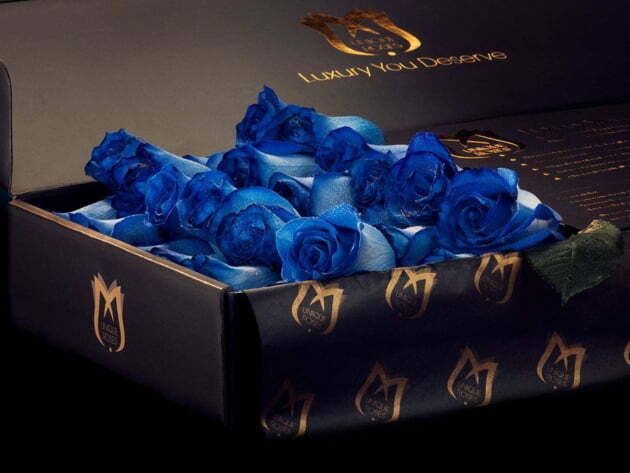 Luxury Blue Roses
