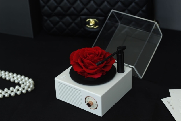 preserved Roses in Bluetooth speaker