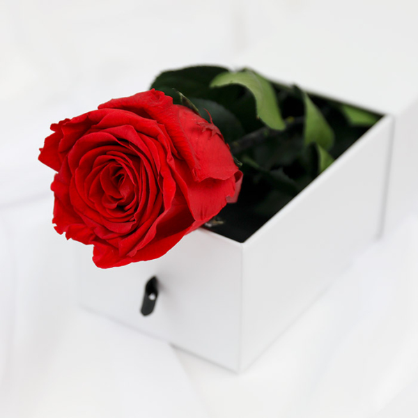 Luxurious Single Stem Rose