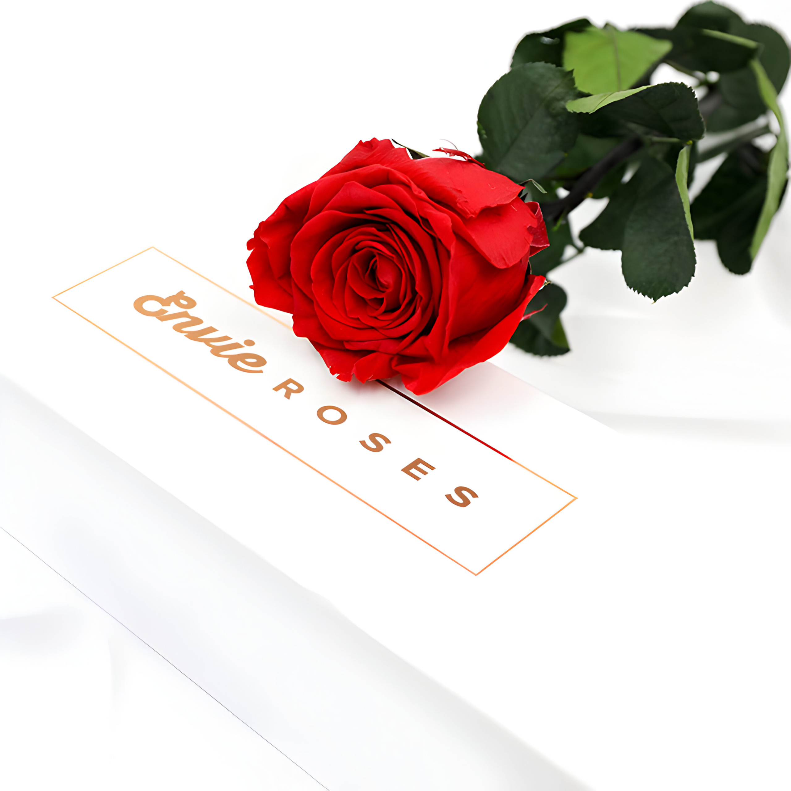 Luxurious Single Preserved Rose